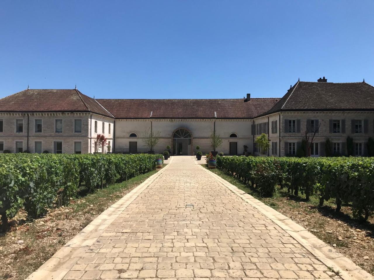 Bed and Breakfast Chateau De Chassagne-Montrachet Exteriér fotografie